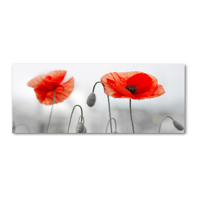 Glass acrylic wall art Macs