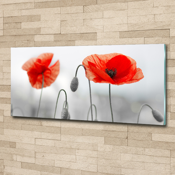 Glass acrylic wall art Macs