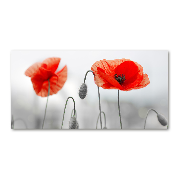 Glass acrylic wall art Macs