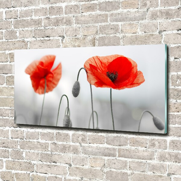 Glass acrylic wall art Macs