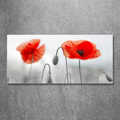 Glass acrylic wall art Macs