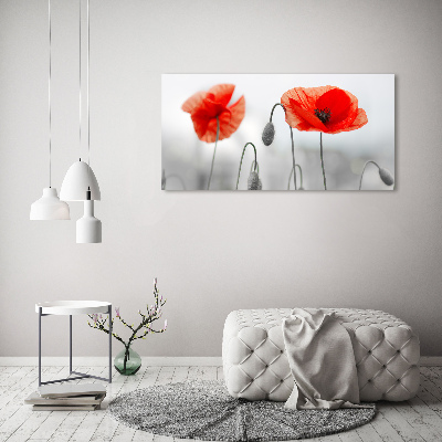 Glass acrylic wall art Macs