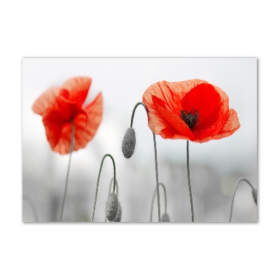 Glass acrylic wall art Macs