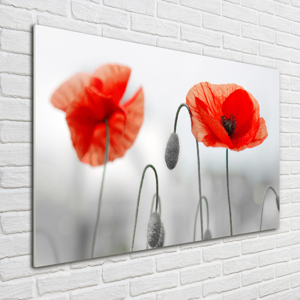 Glass acrylic wall art Macs