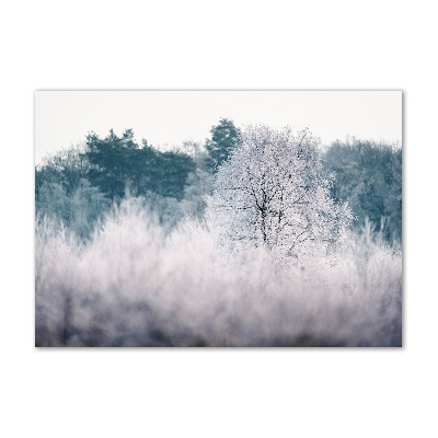 Glass acrylic wall art Winter trees