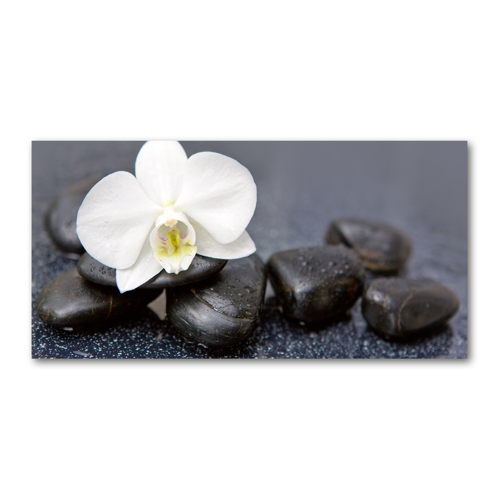 Acrylic wall picture Orchid