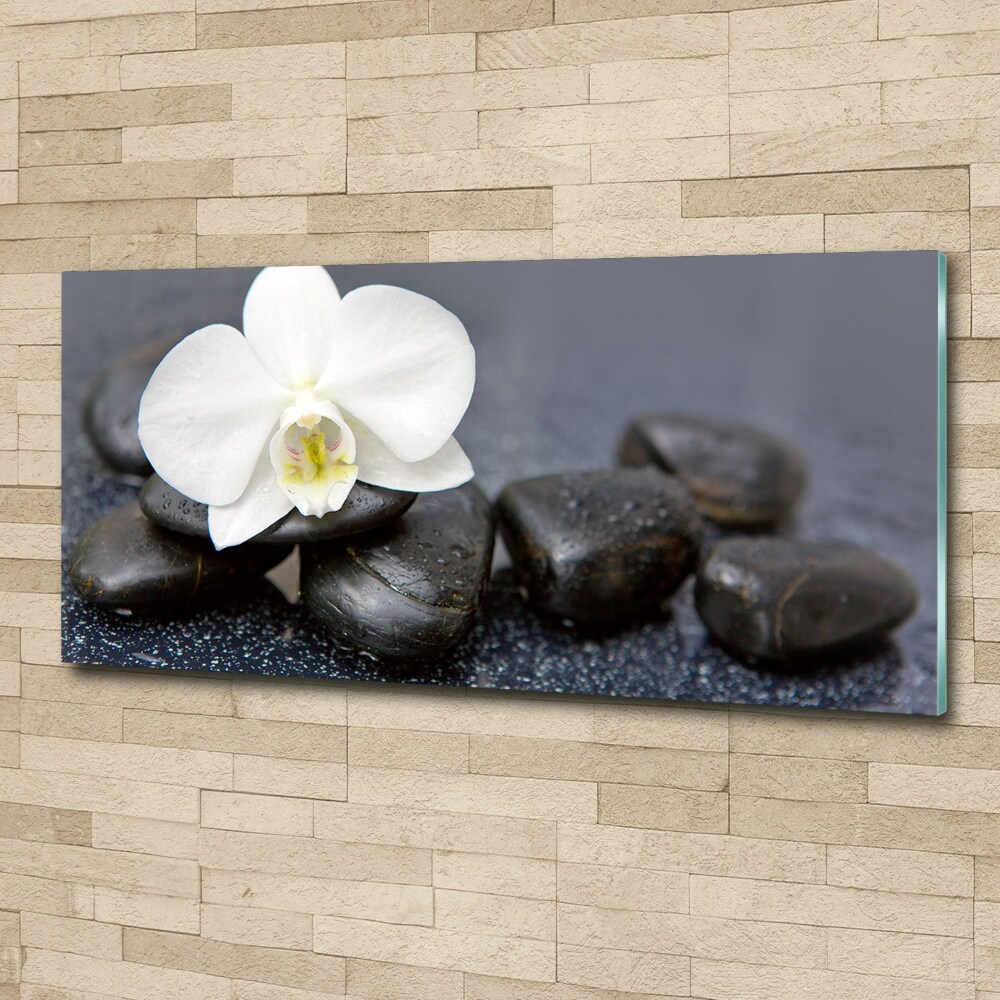 Acrylic wall picture Orchid