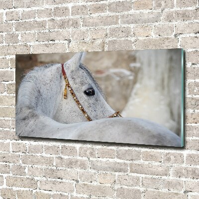 Wall art acrylic White Arabian horse