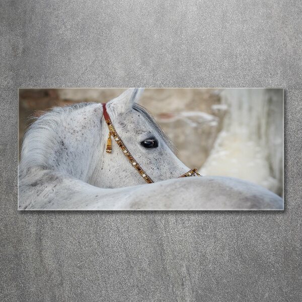 Wall art acrylic White Arabian horse