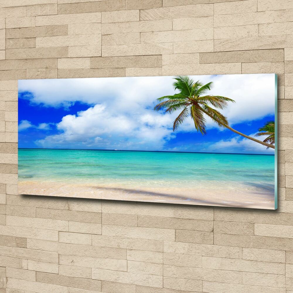 Glass acrylic wall art Caribbean beach