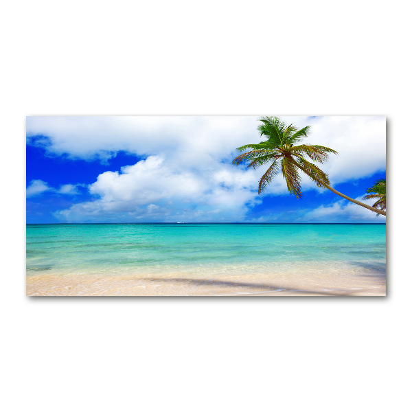 Glass acrylic wall art Caribbean beach