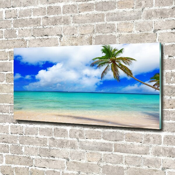 Glass acrylic wall art Caribbean beach