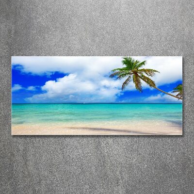 Glass acrylic wall art Caribbean beach