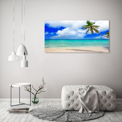 Glass acrylic wall art Caribbean beach