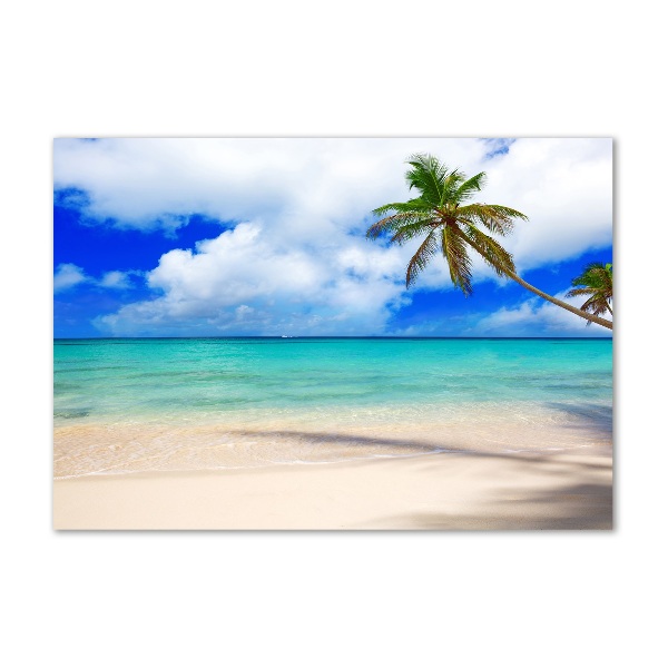 Glass acrylic wall art Caribbean beach