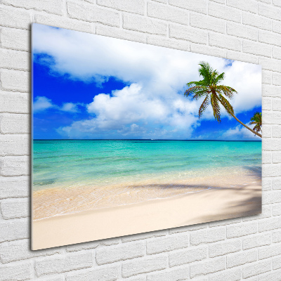 Glass acrylic wall art Caribbean beach