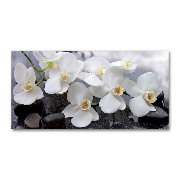 Acrylic wall picture Orchid