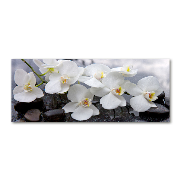 Acrylic wall picture Orchid