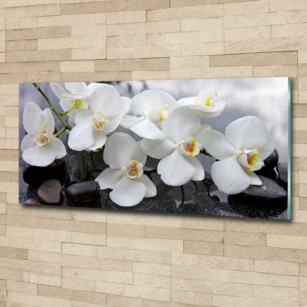 Acrylic wall picture Orchid