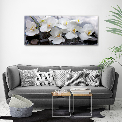 Acrylic wall picture Orchid