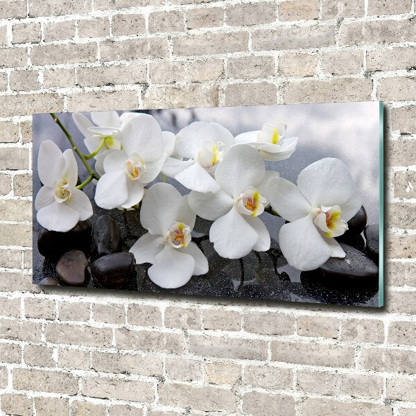 Acrylic wall picture Orchid