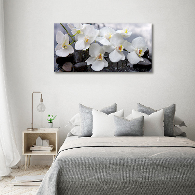 Acrylic wall picture Orchid