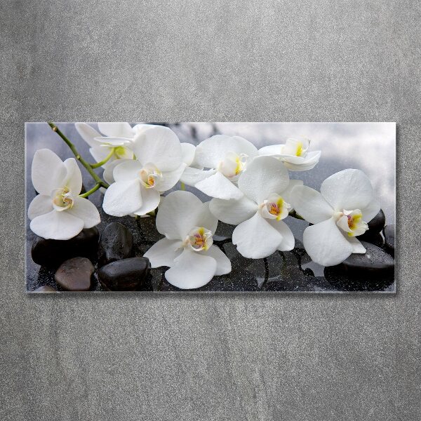 Acrylic wall picture Orchid