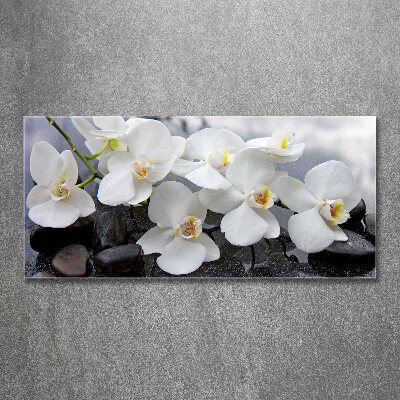 Acrylic wall picture Orchid