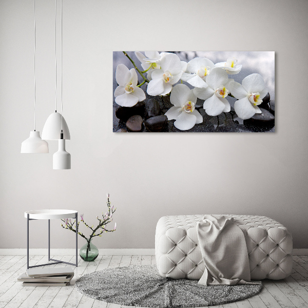 Acrylic wall picture Orchid