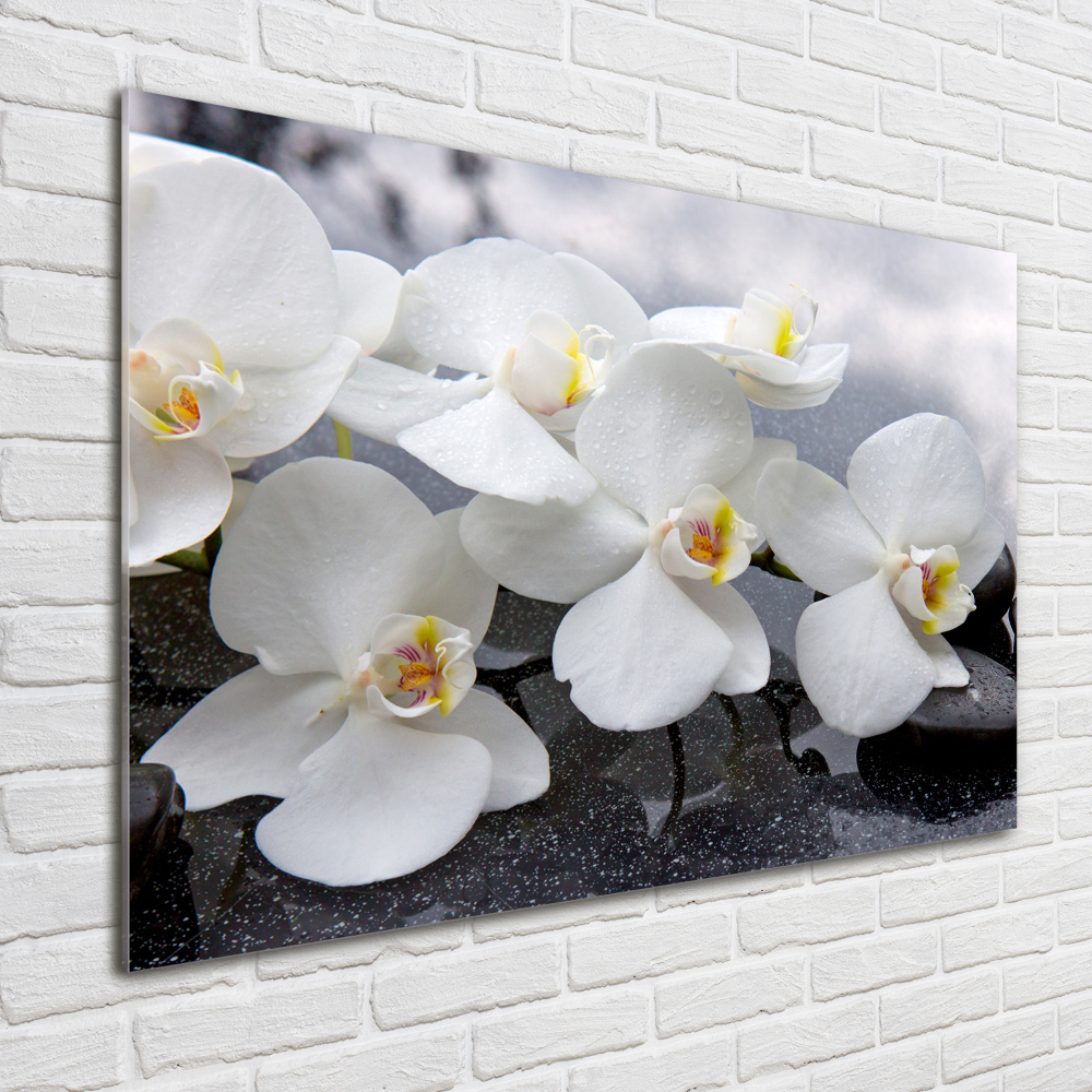 Acrylic wall picture Orchid