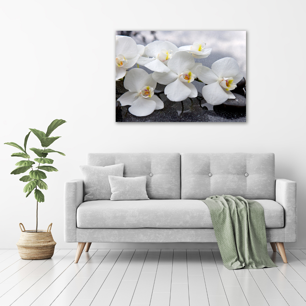 Acrylic wall picture Orchid