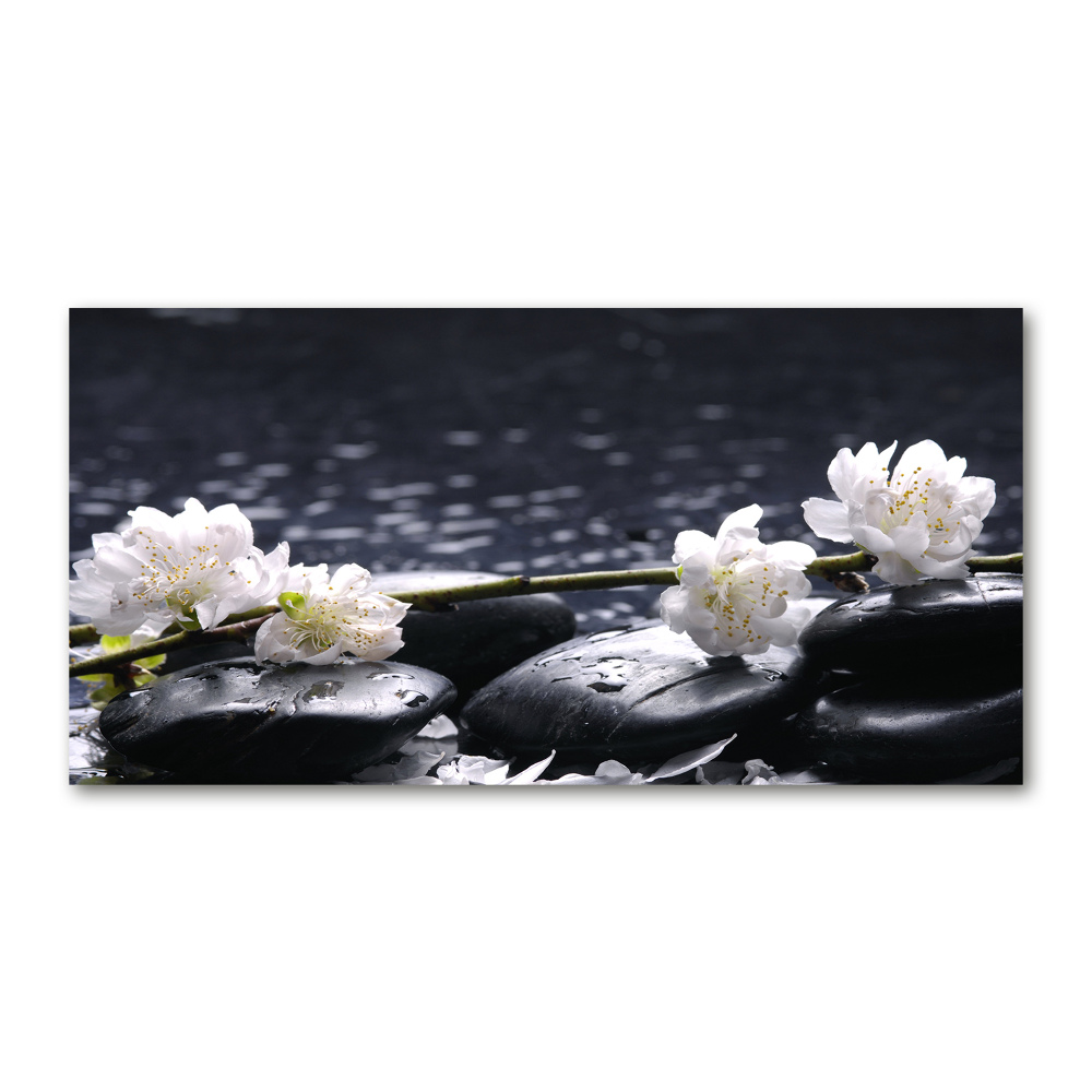 Acrylic wall picture Cherry Blossom