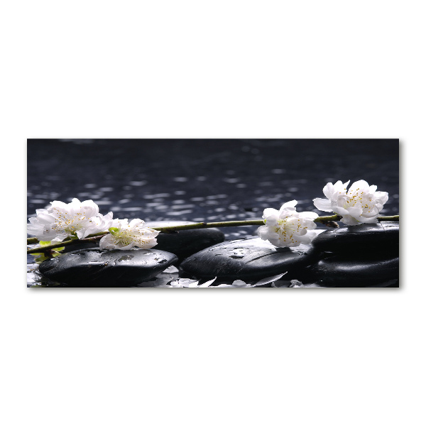 Acrylic wall picture Cherry Blossom