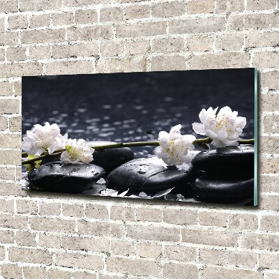 Acrylic wall picture Cherry Blossom