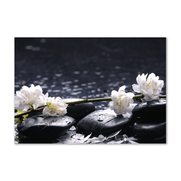 Acrylic wall picture Cherry Blossom