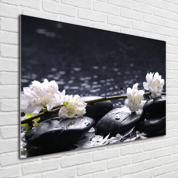 Acrylic wall picture Cherry Blossom