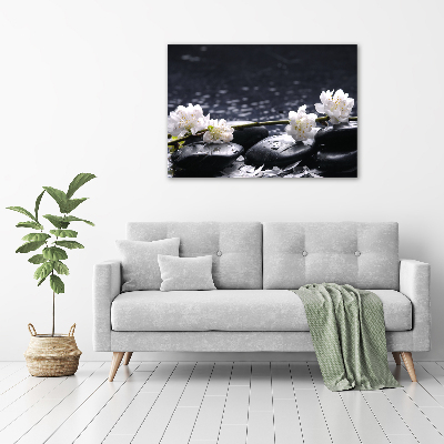 Acrylic wall picture Cherry Blossom