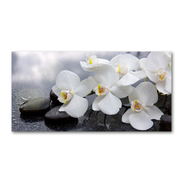 Acrylic wall picture Orchid