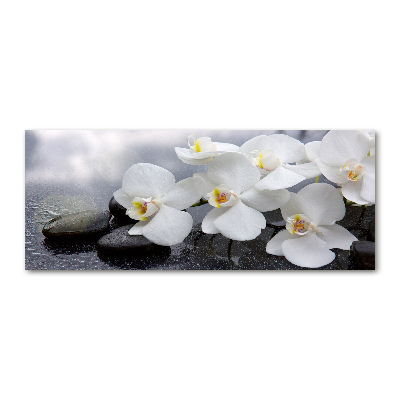 Acrylic wall picture Orchid