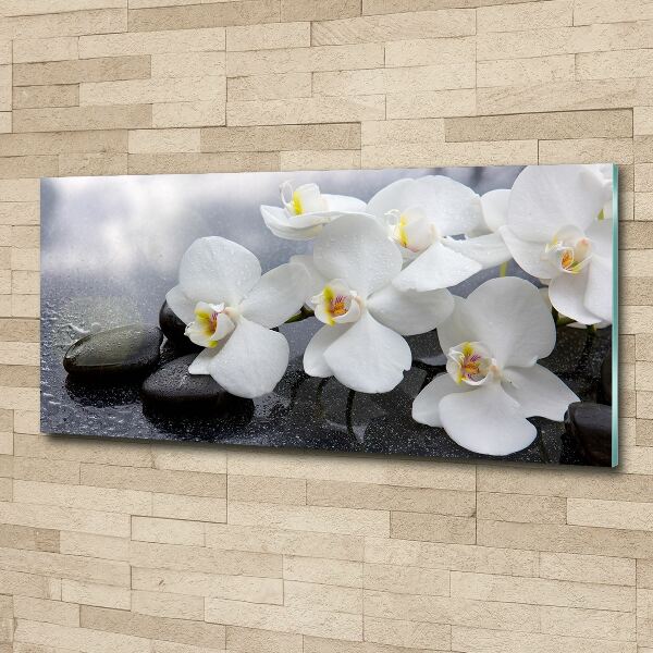 Acrylic wall picture Orchid