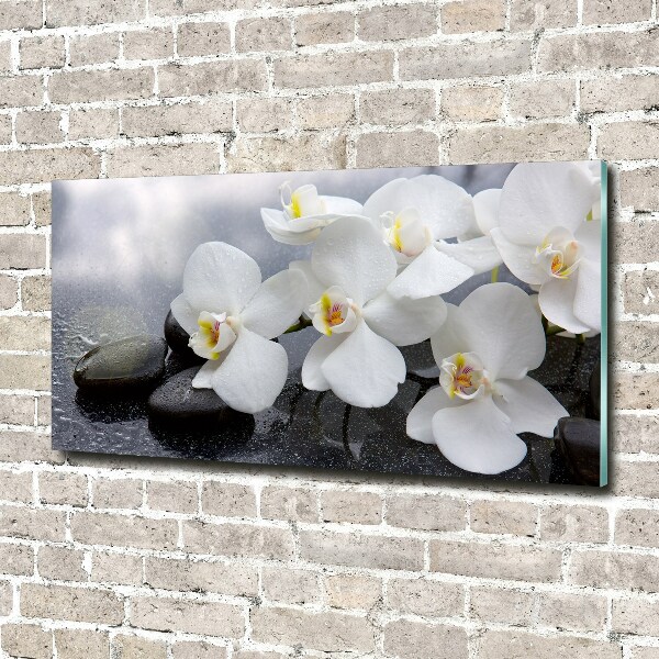 Acrylic wall picture Orchid