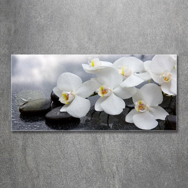 Acrylic wall picture Orchid