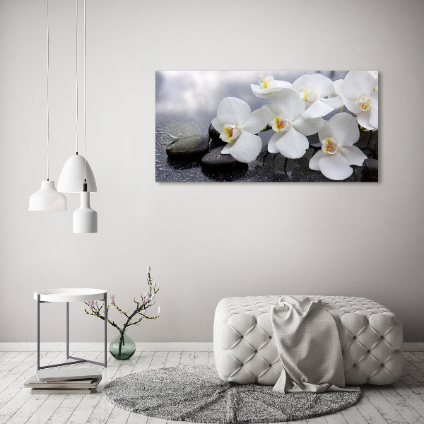 Acrylic wall picture Orchid