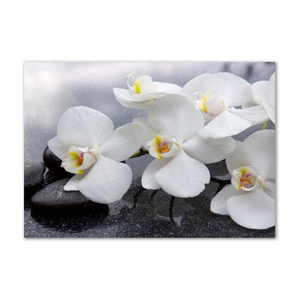 Acrylic wall picture Orchid