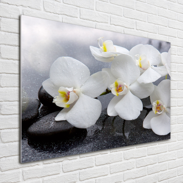 Acrylic wall picture Orchid