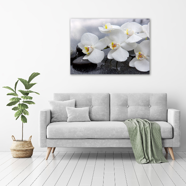 Acrylic wall picture Orchid