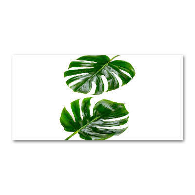 Glass acrylic wall art Tropical leaves