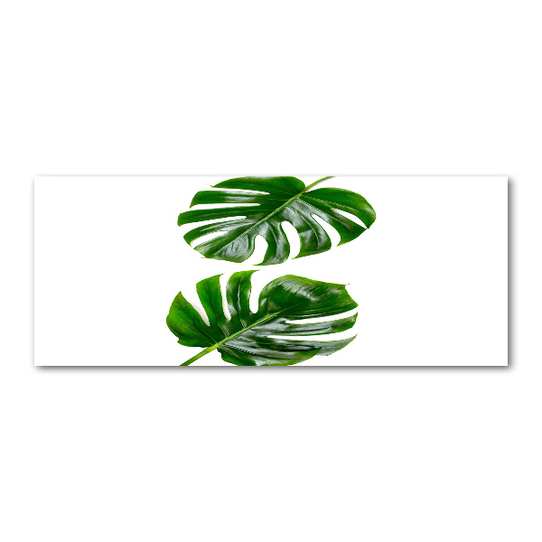 Glass acrylic wall art Tropical leaves