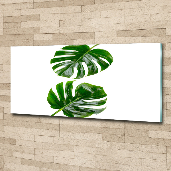 Glass acrylic wall art Tropical leaves