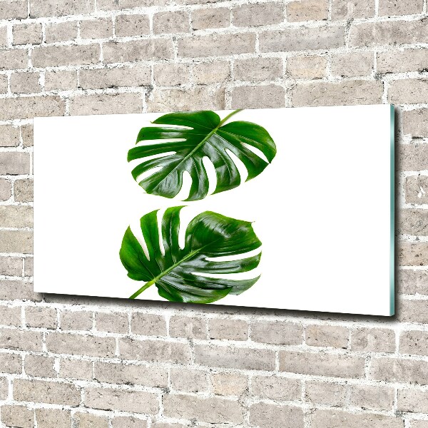 Glass acrylic wall art Tropical leaves